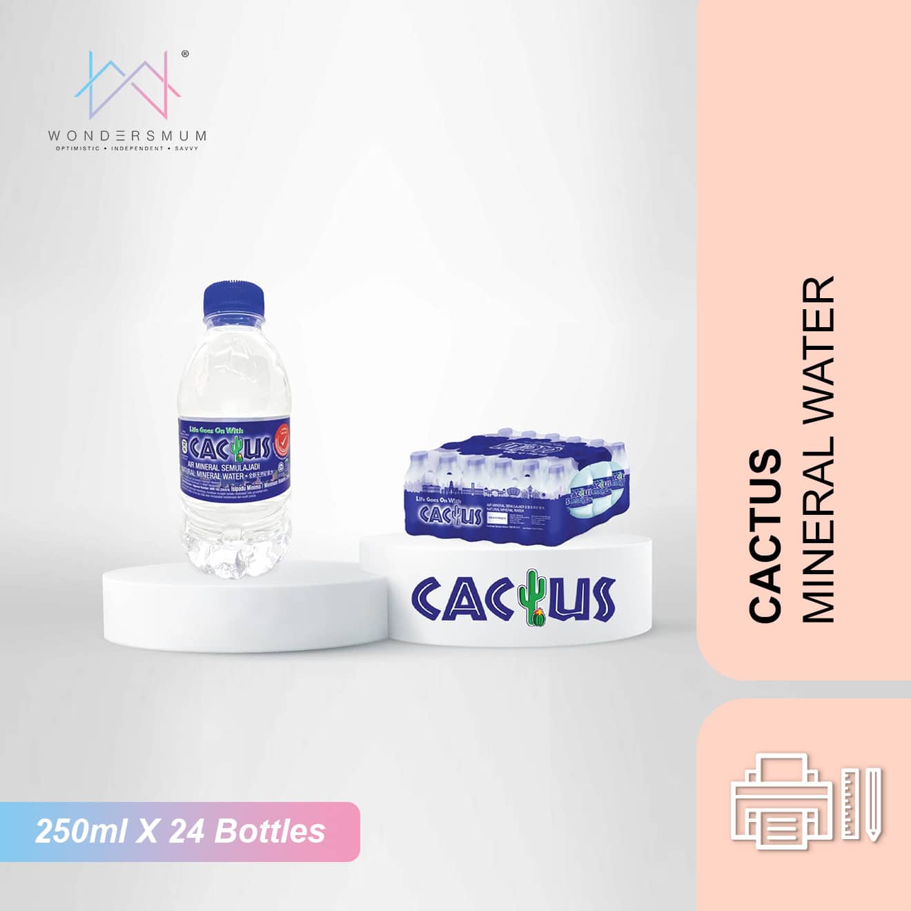 Cactus Mineral Water 250ml X 24 Bottles – Wondersmum